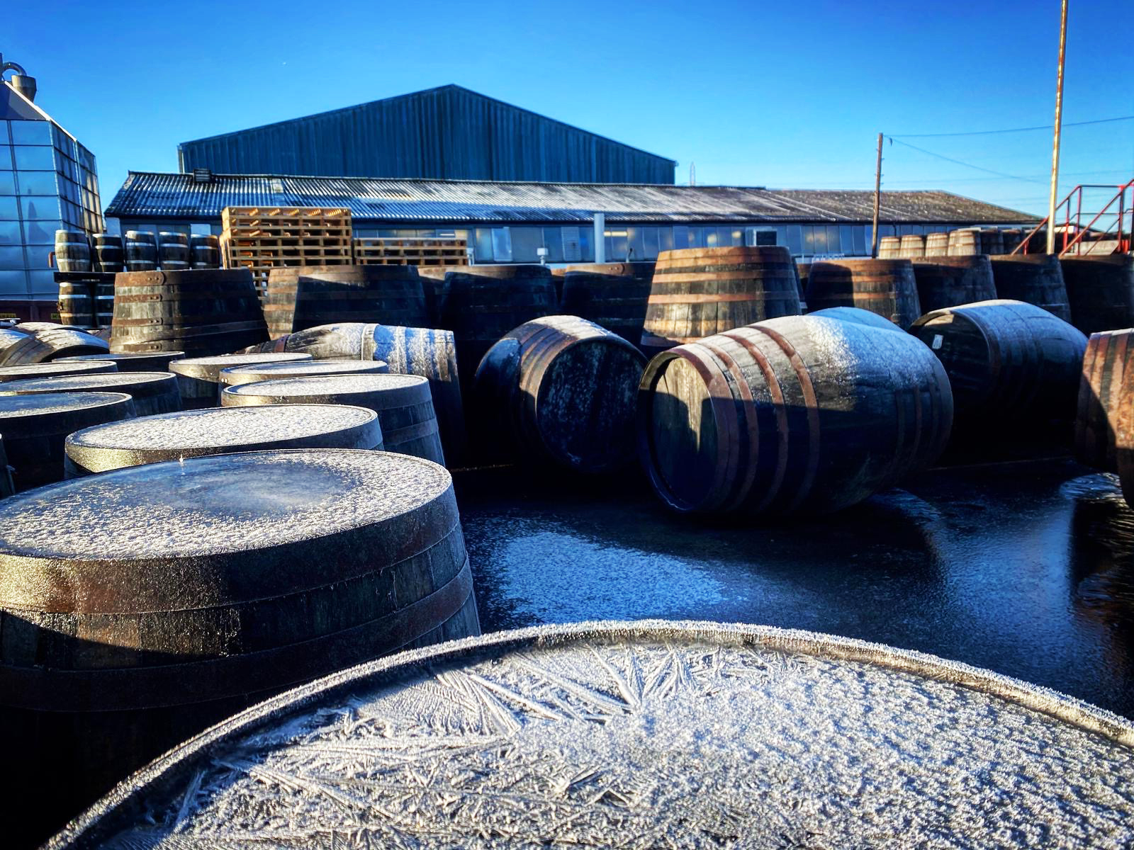 Glasgow Whisky Distillery Casks